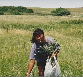 a woman gathering sage in a field