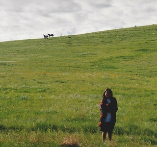 horse and man in grassy field