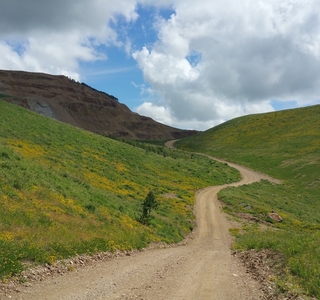 A view of the road to the mined top through yellow flowers